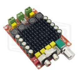 Amplificateur 2.0 (2 x 100 watts)