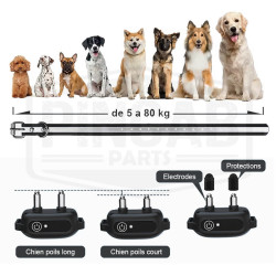 Collier de dressage électrique et anti aboiement étanche pour chien avec télécommande