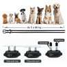 Collier de dressage électrique et anti aboiement étanche pour chien avec télécommande